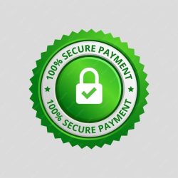 Green secure checkout trust badge with a padlock icon, ensuring encrypted data protection and safe financial transactions.